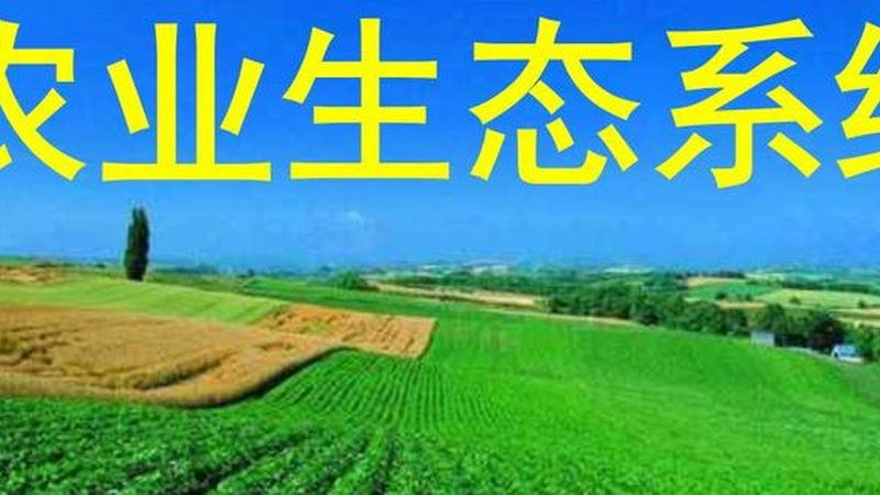 生鲜配送承包合同规范：保障食品安全与供应链稳定的关键