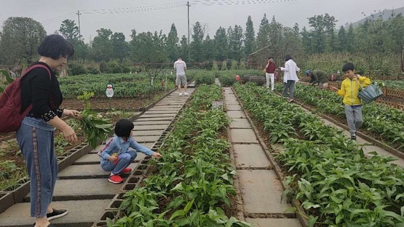 一个可靠的有机蔬菜网上订购平台，首先应具备以下标准：