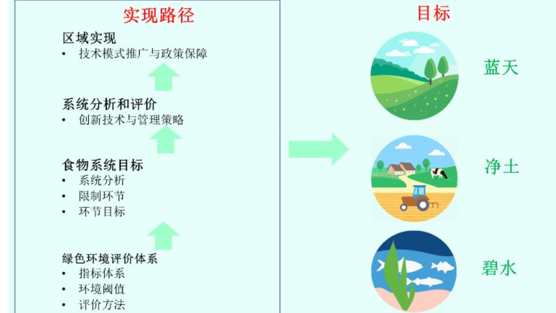 河南农资批发基地与零售店：有何不同？**