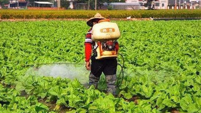 绿色食品加盟店加盟费揭秘：加盟前必知的三大要点