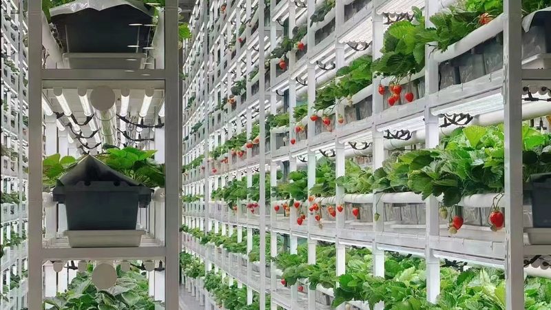 智慧农业小型农场适用方案对比