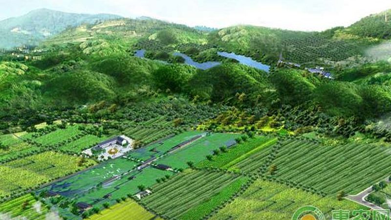 屋顶无土栽培，农业绿化的新篇章
