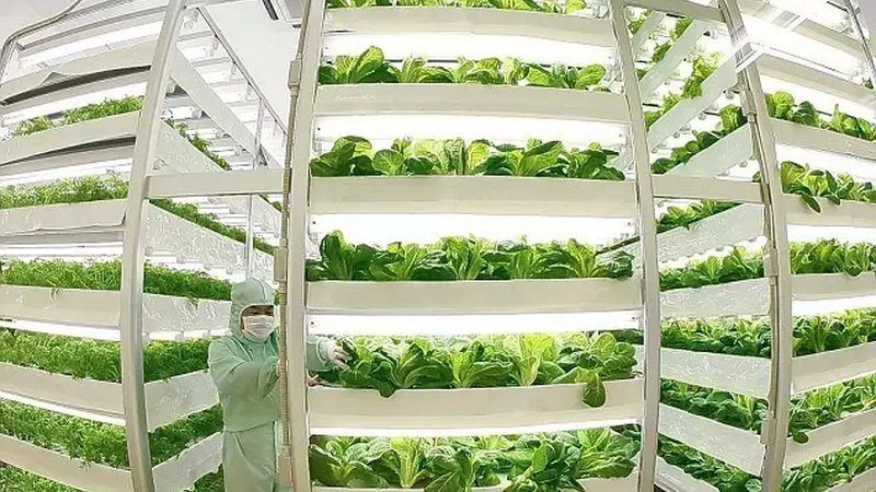 多功能种植机械型号优缺点分析：如何选择最适合的种植助手