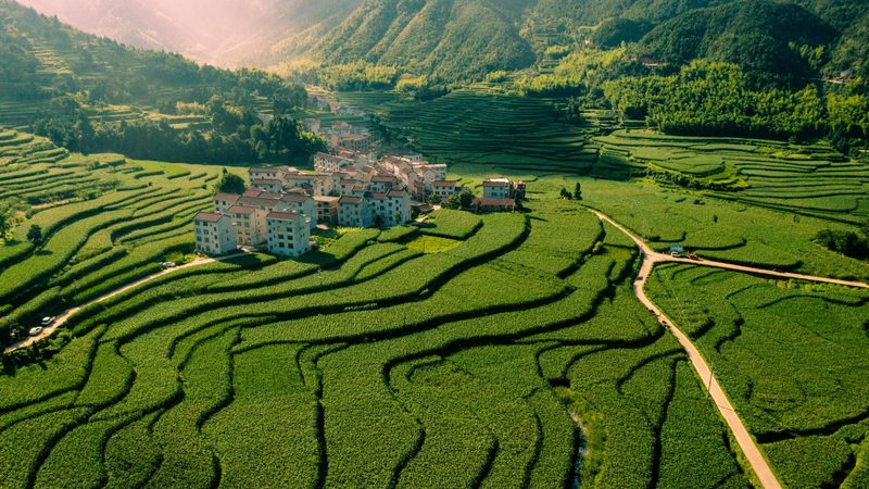小标题：高山水果种植的挑战