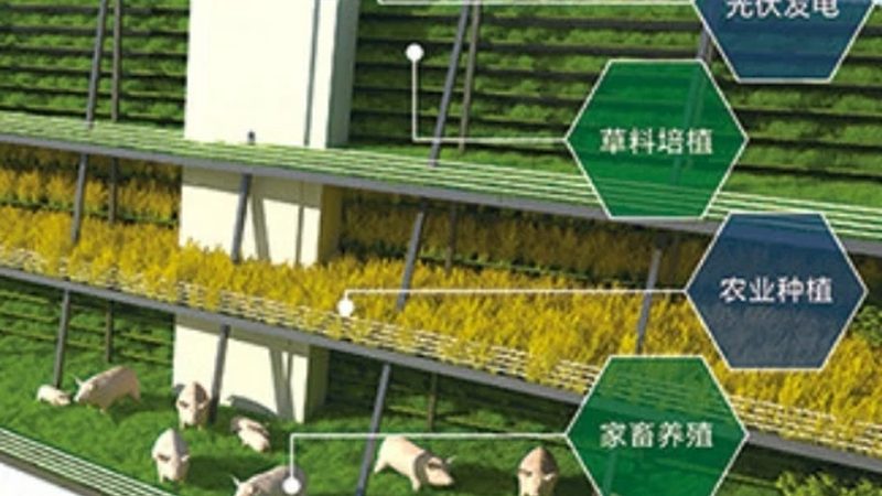 水稻种植土壤要求解析：如何打造高产稳产的基础