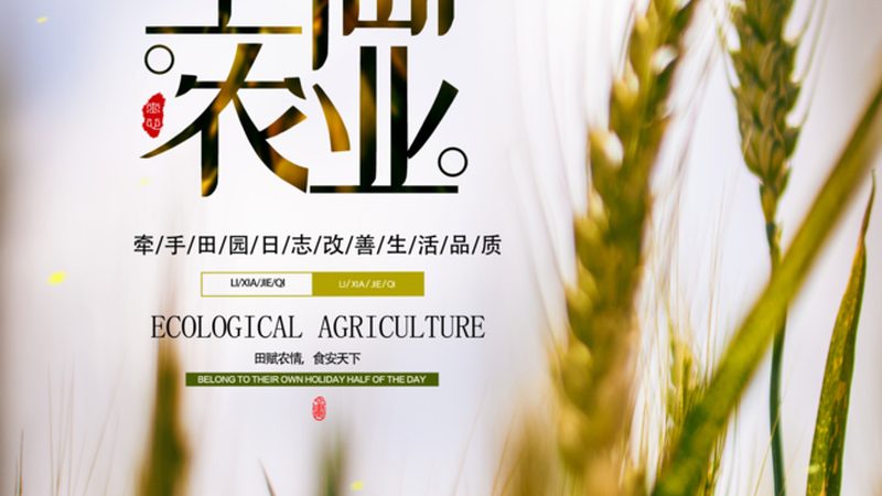 供应链金融资金方：谁在农业生态链中占据C位？**